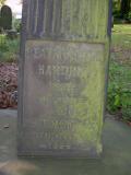 image of grave number 484160